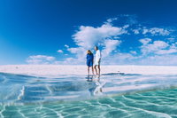 4-Day Coastal Loop via Monkey Mia Wild Dolphins Kalbarri Pinnacles Perth Return