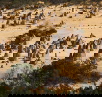 Pinnacles Sunset Dinner and Stargazing Experience a Small Group Tour - Accommodation Fremantle