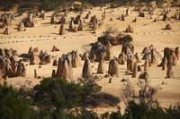 Pinnacles Sunset Dinner and Stargazing Experience a Small Group Tour, Perth