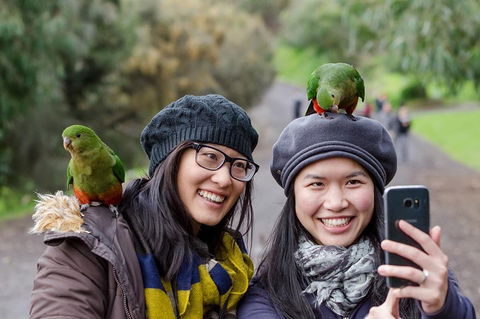 Small-Group Great Ocean Road And 12 Apostles Full-Day Tour From Melbourne - Accommodation Fremantle 0