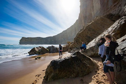 Small-Group Great Ocean Road And 12 Apostles Full-Day Tour From Melbourne - Accommodation Fremantle 1