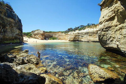Small-Group Great Ocean Road And 12 Apostles Full-Day Tour From Melbourne - Accommodation Fremantle 5