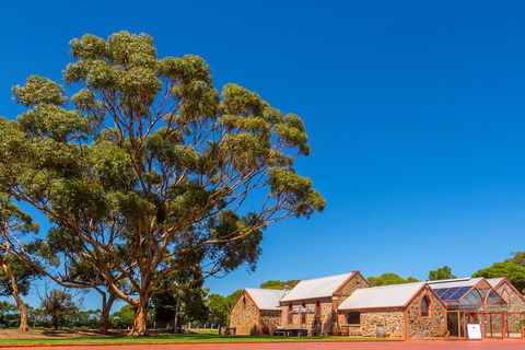 McLaren Vale And Glenelg Wine Tasting And Sightseeing (Half-day Afternoon) - Accommodation Fremantle 5