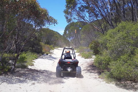 Kangaroo Island Quad Bike (ATV) Tours - Accommodation Fremantle 4