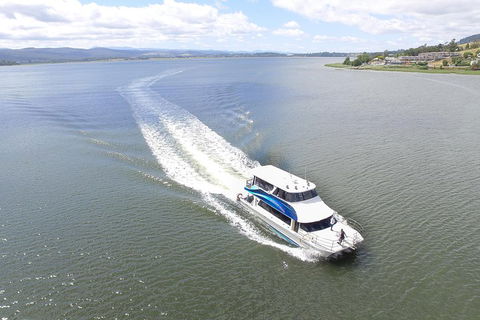2.5 Hour Morning Discovery Cruise Including Sailing Into The Cataract Gorge - Accommodation Fremantle 2