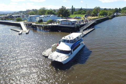 2.5 Hour Morning Discovery Cruise Including Sailing Into The Cataract Gorge - Accommodation Fremantle 3