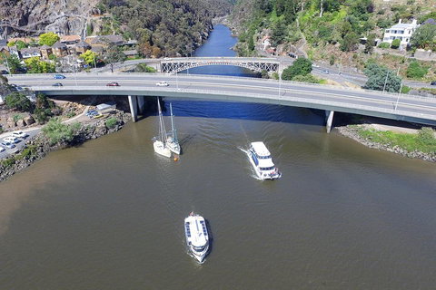 2.50 Hour Afternoon Discovery Cruise Including Cataract Gorge Departing At 3 Pm - Accommodation Fremantle 1