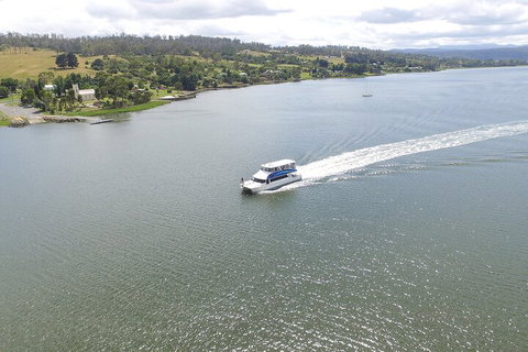 2.50 Hour Afternoon Discovery Cruise Including Cataract Gorge Departing At 3 Pm - Accommodation Fremantle 4