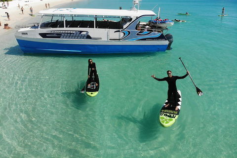 Whitsunday Bullet Day Trip - Whitehaven Beach And Snorkelling - Accommodation Fremantle 4