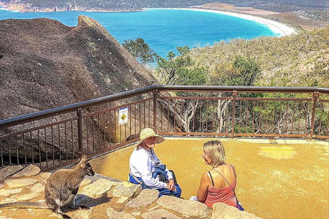 Wineglass Bay & Freycinet NP Full Day Tour From Hobart Via Richmond Village - Accommodation Fremantle 1