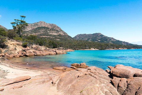 Wineglass Bay & Freycinet NP Full Day Tour From Hobart Via Richmond Village - Accommodation Fremantle 5