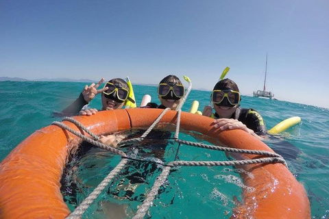 Full-Day Great Barrier Reef Sailing Trip - Accommodation Fremantle 0