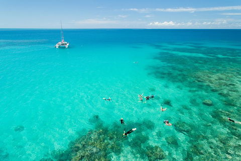 Full-Day Great Barrier Reef Sailing Trip - Accommodation Fremantle 2