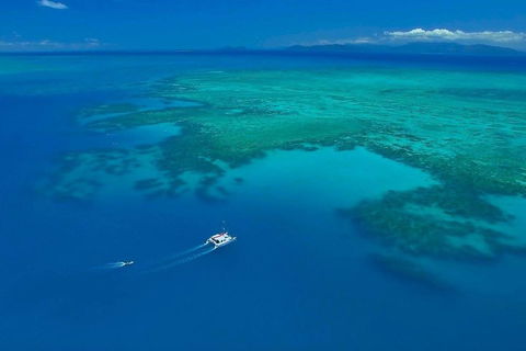 Full-Day Great Barrier Reef Sailing Trip - Accommodation Fremantle 3