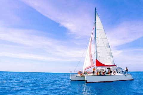 Full-Day Great Barrier Reef Sailing Trip - Accommodation Fremantle 4