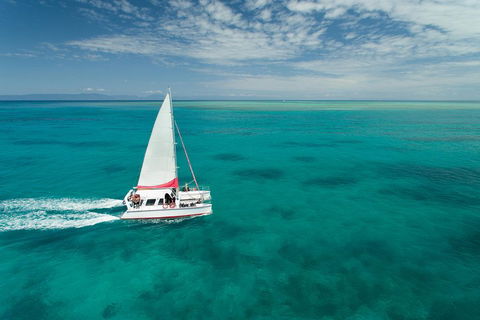 Full-Day Great Barrier Reef Sailing Trip - Accommodation Fremantle 5