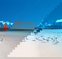 Margaret River and Geographe Bay Region Day Trip from Perth - Accommodation Fremantle