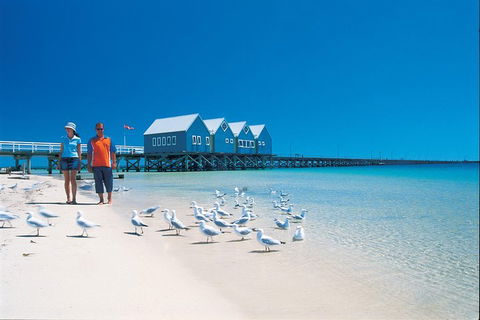 Margaret River And Geographe Bay Region Day Trip From Perth - Accommodation Fremantle 0