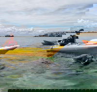 Seal Island and Penguin Island or Point Peron Sea Kayak Tour - Accommodation Fremantle