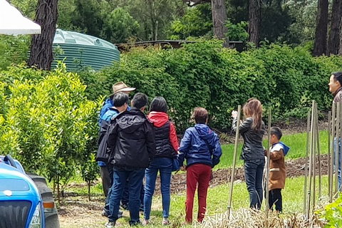Dandenong Ranges And Rayners Orchard Tour From Melbourne - Accommodation Fremantle 4