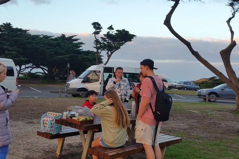 Surf Tour And Lesson - Accommodation Fremantle 2