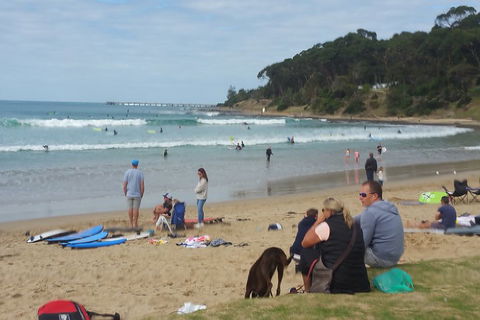 Surf Tour And Lesson - Accommodation Fremantle 5