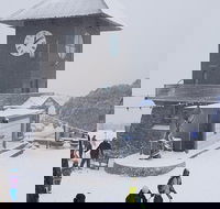 Mt Buller Day Trip from Melbourne - Accommodation Fremantle