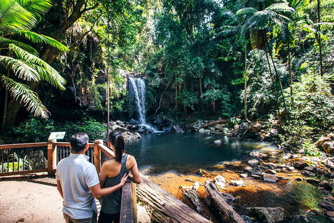 Aquaduck & Your Choice Of Gold Coast Rainforest Tour - Accommodation Fremantle 0
