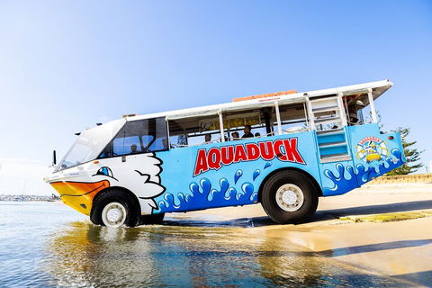 Aquaduck & Your Choice Of Gold Coast Rainforest Tour - Accommodation Fremantle 3