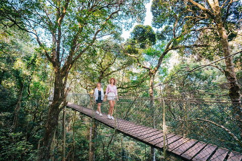 Aquaduck & Your Choice Of Gold Coast Rainforest Tour - Accommodation Fremantle 4