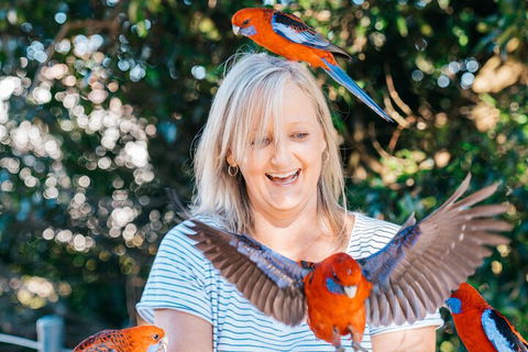 Aquaduck & Your Choice Of Gold Coast Rainforest Tour - Accommodation Fremantle 5