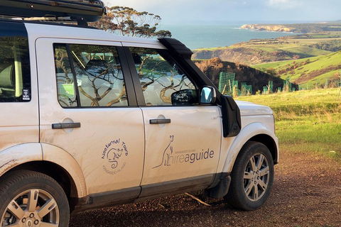 Kangaroo Island 4WD Tour - Best Of KI In 2 Days - Accommodation Fremantle 4