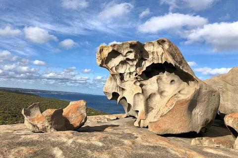 Kangaroo Island 4WD Tour - Best Of KI In 2 Days - Accommodation Fremantle 5
