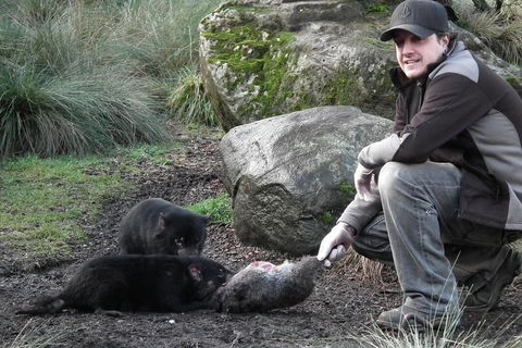 After Dark Tasmanian Devil Feeding Tour At Cradle Mountain - Accommodation Fremantle 2
