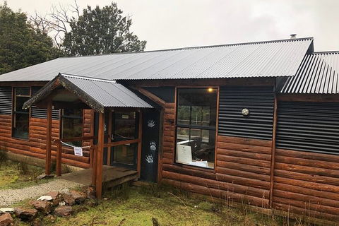 After Dark Tasmanian Devil Feeding Tour At Cradle Mountain - Accommodation Fremantle 3