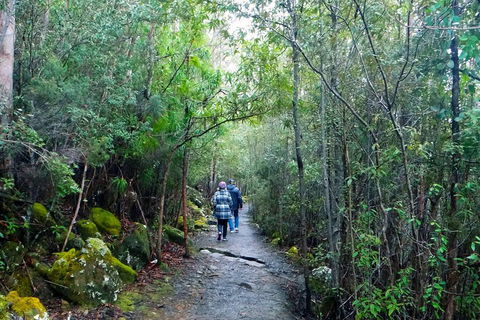 Kunanyi/Mt Wellington Tour & Hobart Hop-On Hop-Off Bus - Accommodation Fremantle 1
