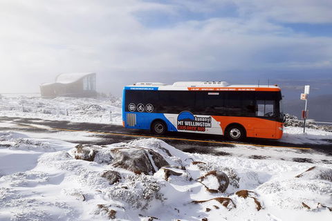 Kunanyi/Mt Wellington Tour & Hobart Hop-On Hop-Off Bus - Accommodation Fremantle 2