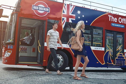 Kunanyi/Mt Wellington Tour & Hobart Hop-On Hop-Off Bus - Accommodation Fremantle 4