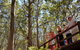 The All About Margaret River Tour: Wine, Coffee, Lunch And Forest - thumb 3