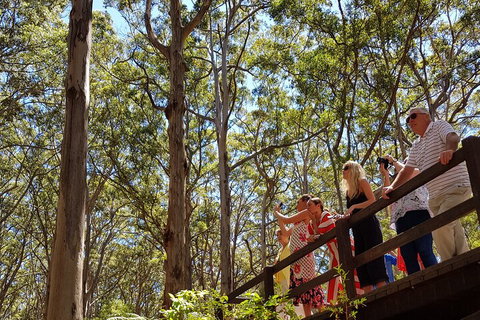The All About Margaret River Tour: Wine, Coffee, Lunch And Forest - Accommodation Fremantle 3