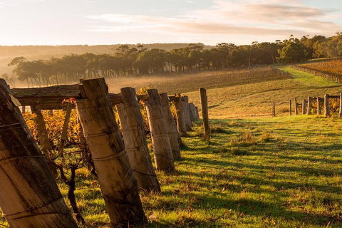 The All About Margaret River Tour: Wine, Coffee, Lunch And Forest - Accommodation Fremantle 5
