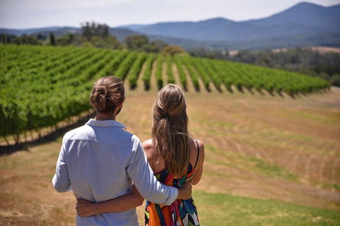 Yarra Valley Wine, Bubbles And Gin Tour! - Accommodation Fremantle 4