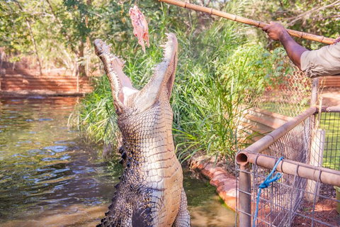 Malcolm Douglas Crocodile Park Tour Including Transportation - Accommodation Fremantle 5