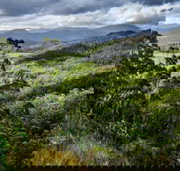 3-Day Tour to the Falls Mountains Lake  More of West Coast Tasmania - Accommodation Fremantle