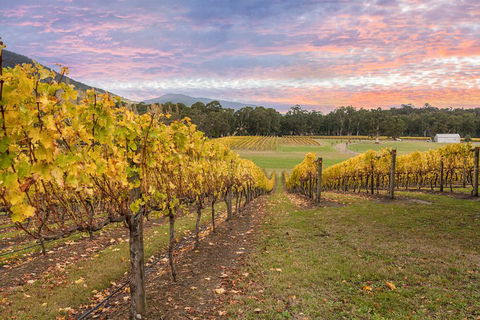 Yarra Valley Boutique Winery Tour From Melbourne - Accommodation Fremantle 3
