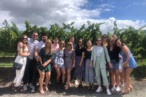 Yarra Valley Public Winery Tours - Accommodation Fremantle 3