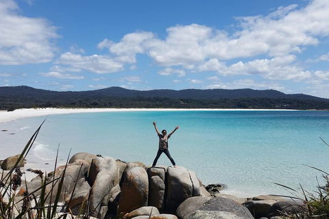 Tasmania 4 Day East Coast + Launceston - Accommodation Fremantle 1