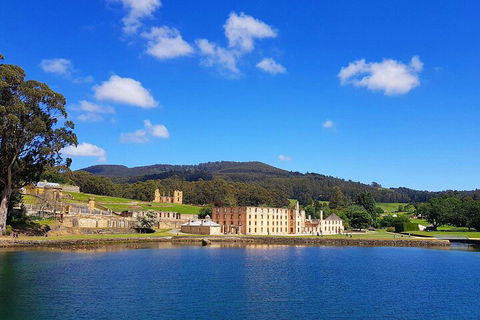 6-Day Tasmania Small-Group Guided Tour With Gourmet Food - Accommodation Fremantle 5