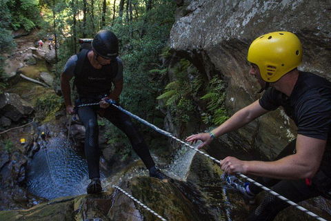 Blue Mountains Empress Canyon Adventure From Wentworth Falls - Accommodation Fremantle 2