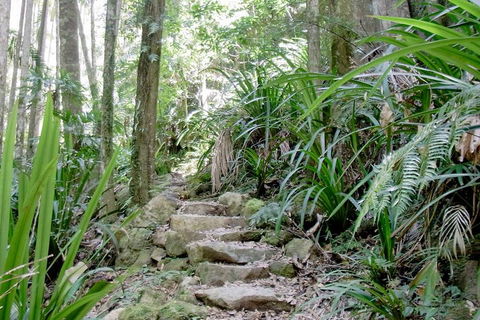 Byron Bay Combo: Minyon Falls And Hinterland Day Trip And Learn To Surf At Byron Bay - Accommodation Fremantle 3
